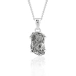 Load image into Gallery viewer, Natural Meteorite Campo De Cielo Pendant