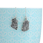 Load image into Gallery viewer, Natural Meteorite Campo De Cielo Earrings