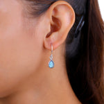 Load image into Gallery viewer, Natural Labradorite Blue Fire Cut Earrings