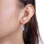 Load image into Gallery viewer, Natural Aquamarine Round Faceted Earrings