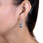 Load image into Gallery viewer, Natural Meteorite Campo De Cielo Earrings