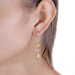 Load image into Gallery viewer, Natural Citrine Faceted Earrings
