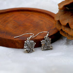 Load image into Gallery viewer, Natural Meteorite Campo De Cielo Earrings