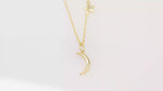 Load and play video in Gallery viewer, Celestial Necklace (Gold Plated)