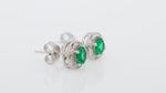 Load and play video in Gallery viewer, Fern Round Studs (Rhodium Plated)