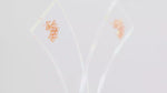 Load and play video in Gallery viewer, Aubrey Studs (Rose Gold Plated)
