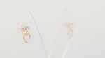 Load and play video in Gallery viewer, Heart Zircon Studs (Rose Gold Plated)