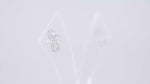Load and play video in Gallery viewer, Floret Studs with Zircon in 925 Silver (Rhodium Plated)
